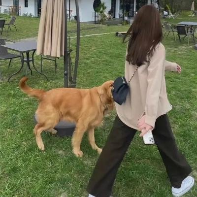 白兰